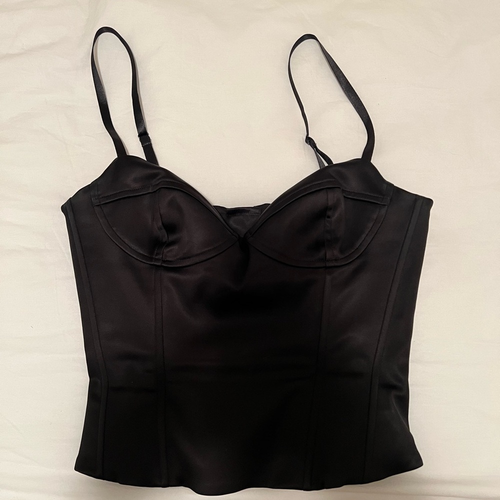 Aritzia - Ten Dazzle Satin Bustier